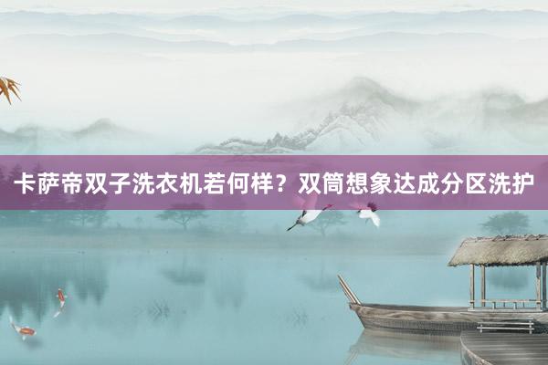 卡萨帝双子洗衣机若何样？双筒想象达成分区洗护